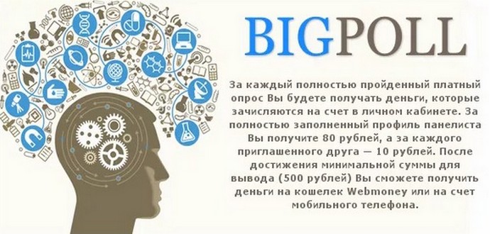 Проверенный опросник для заработка BigPoll